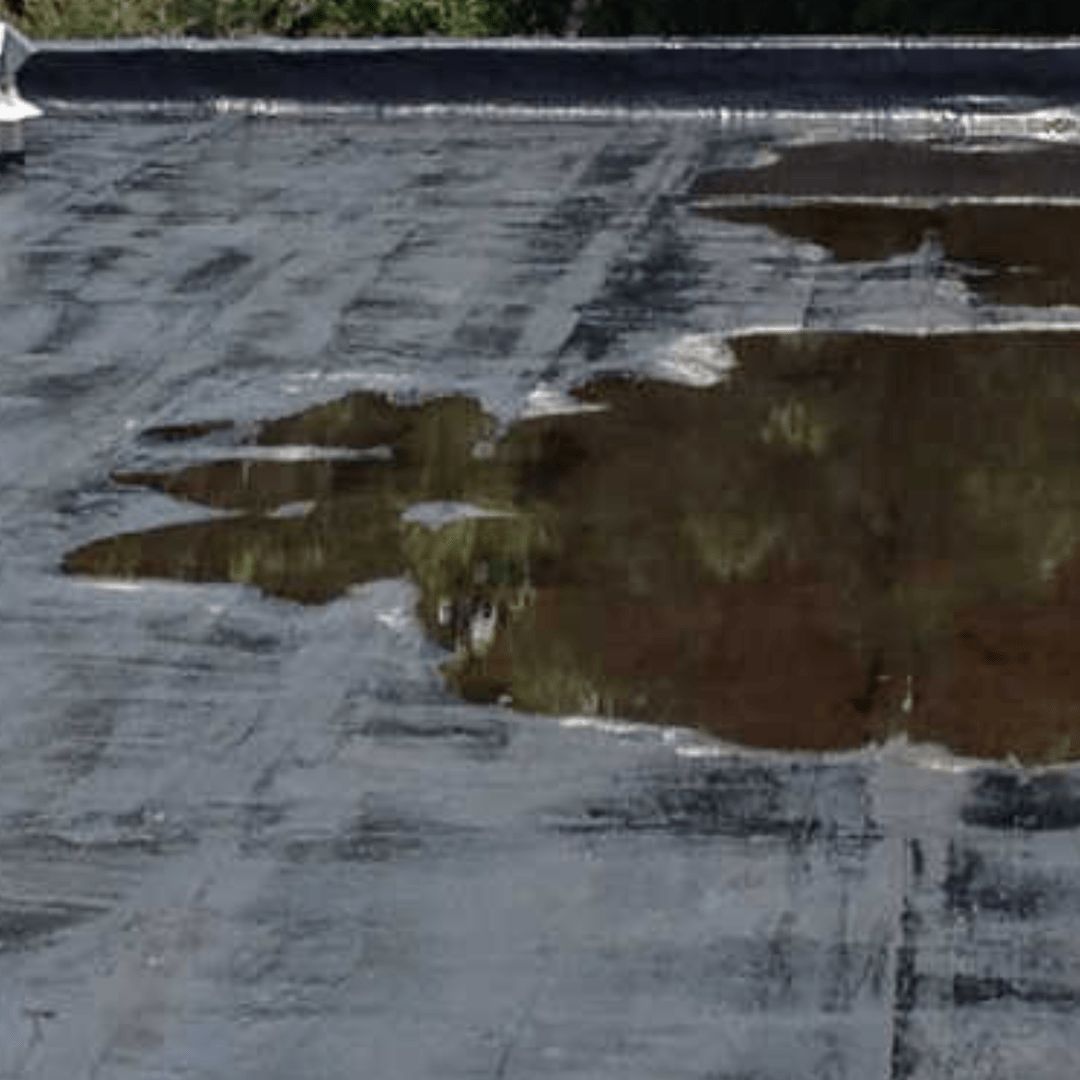 Common Flat Roof Issues