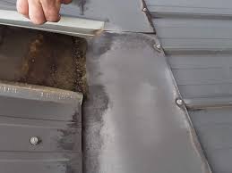 Common Metal Roof Problems