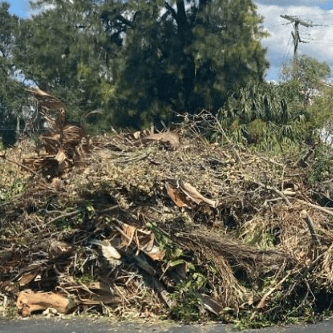 Debris Removal and Hauling