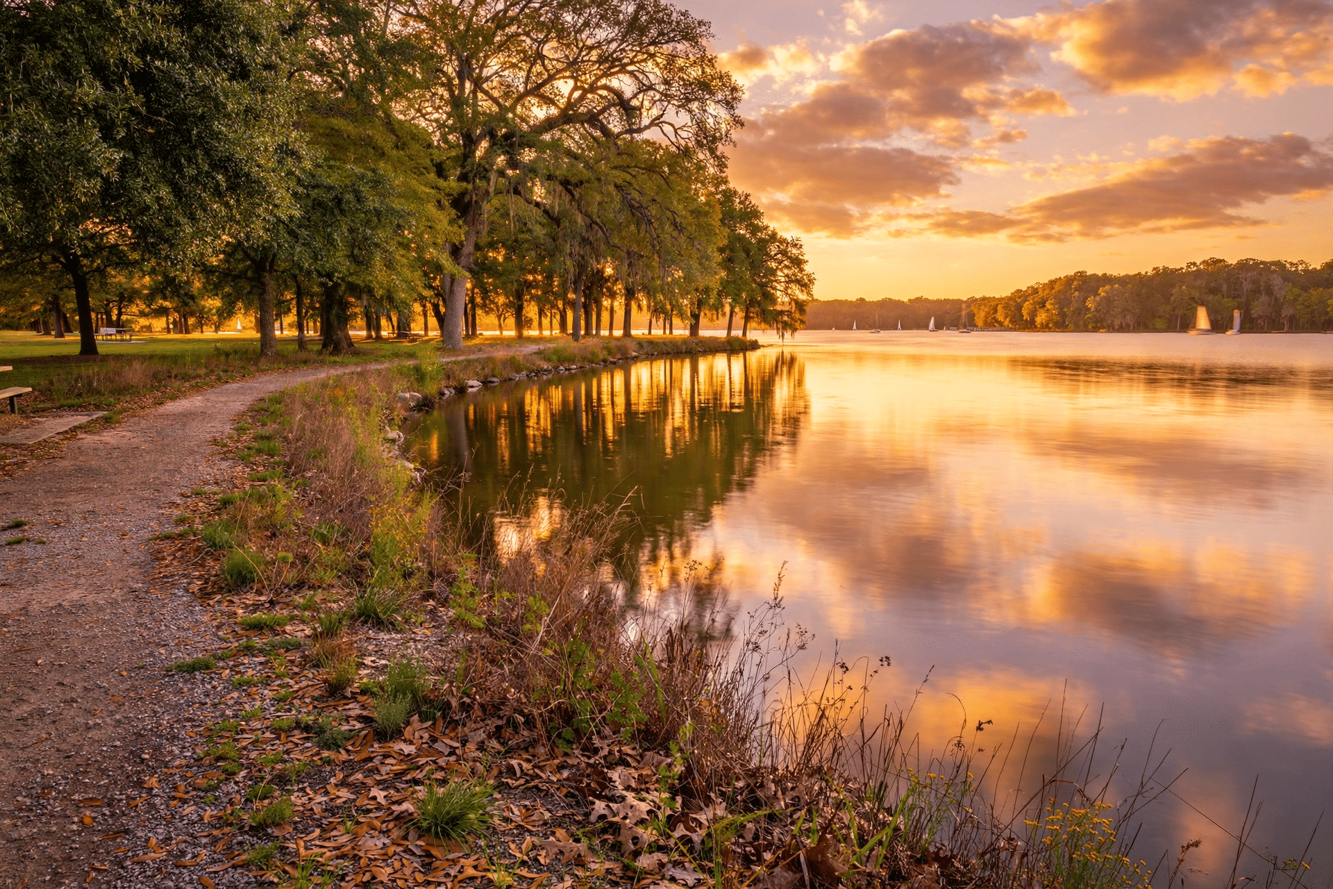 Lewisville Lake shoreline at golden hour near Hickory Creek Texas